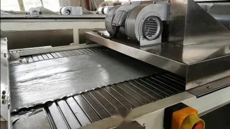 Macchina per il rivestimento in polvere per polvere di plastica termoindurente/Processo di produzione di vernice in polvere/Polvere elettrostatica/Processo di produzione per polvere di rivestimento